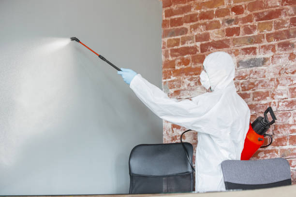 Best Water Damage & Mold Remediation  in Fitzgerald, GA