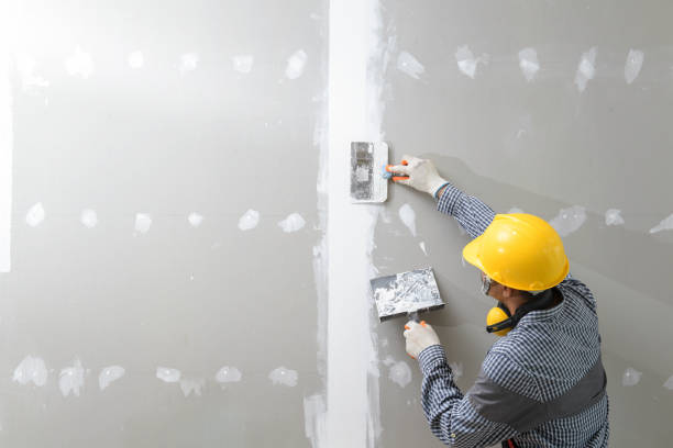 Best HVAC Mold Inspection and Cleaning  in Fitzgerald, GA