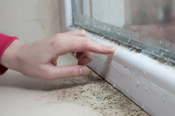 Best Crawl Space Mold Remediation  in Fitzgerald, GA